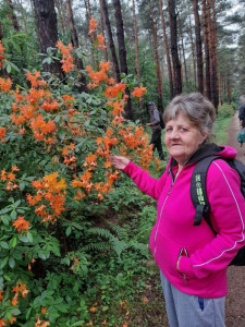 Ellátottunk a Rhododendron mellett